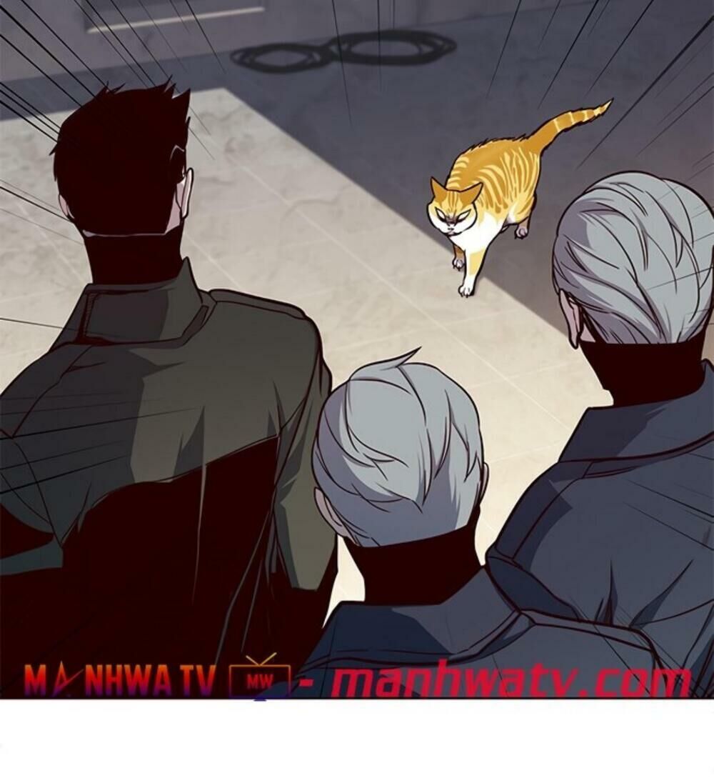 Hoá Thân Thành Mèo Chapter 19 - Trang 2