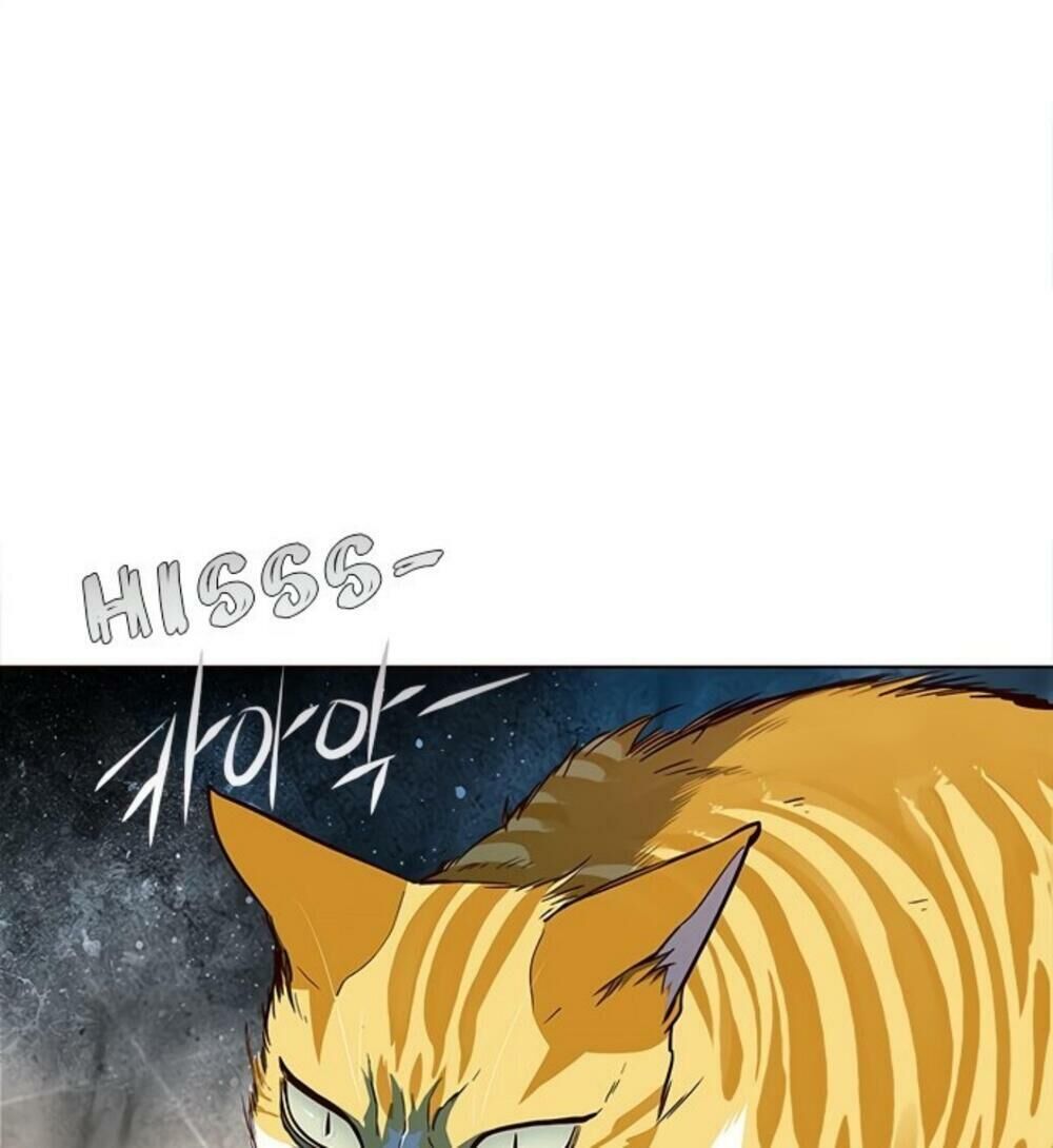 Hoá Thân Thành Mèo Chapter 19 - Trang 2