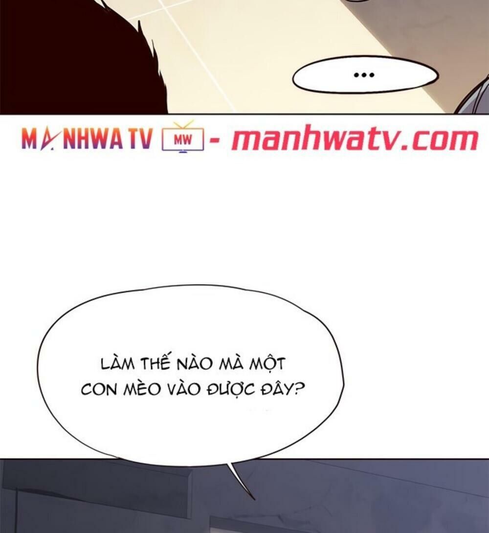 Hoá Thân Thành Mèo Chapter 19 - Trang 2