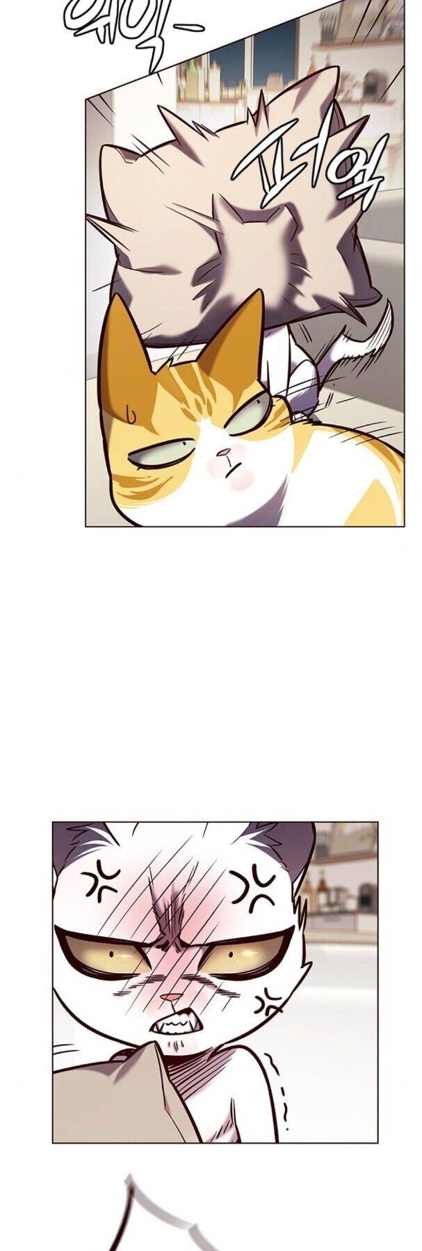 Hoá Thân Thành Mèo Chapter 190 - Trang 2