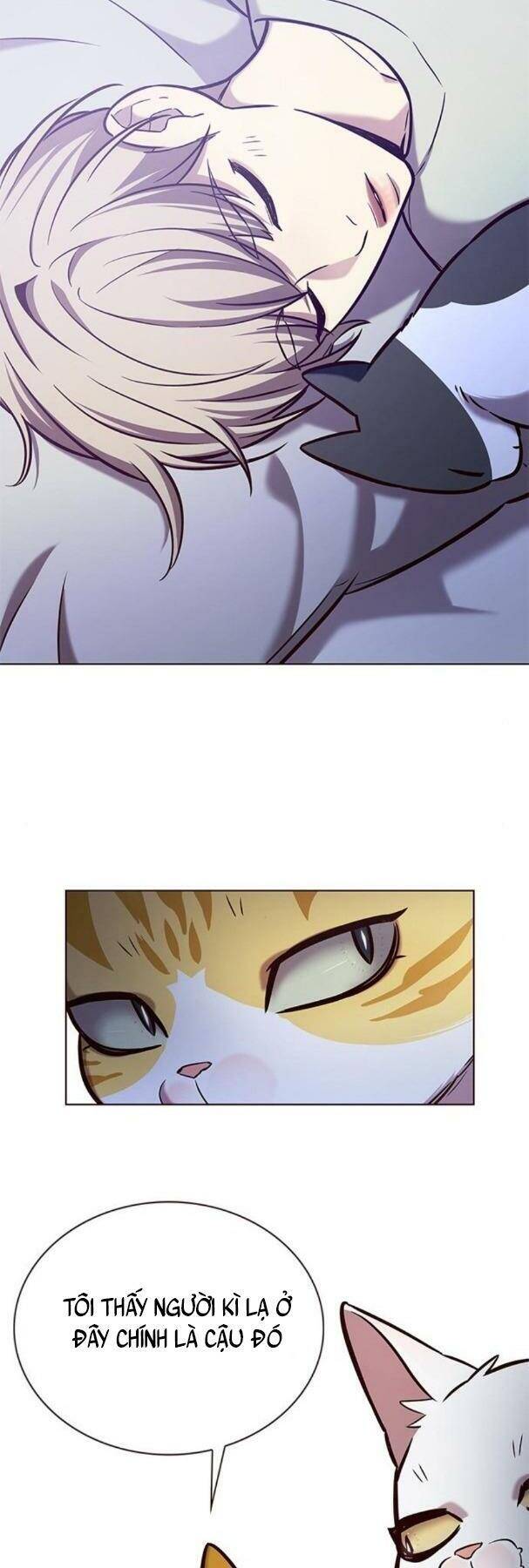 Hoá Thân Thành Mèo Chapter 190 - Trang 2