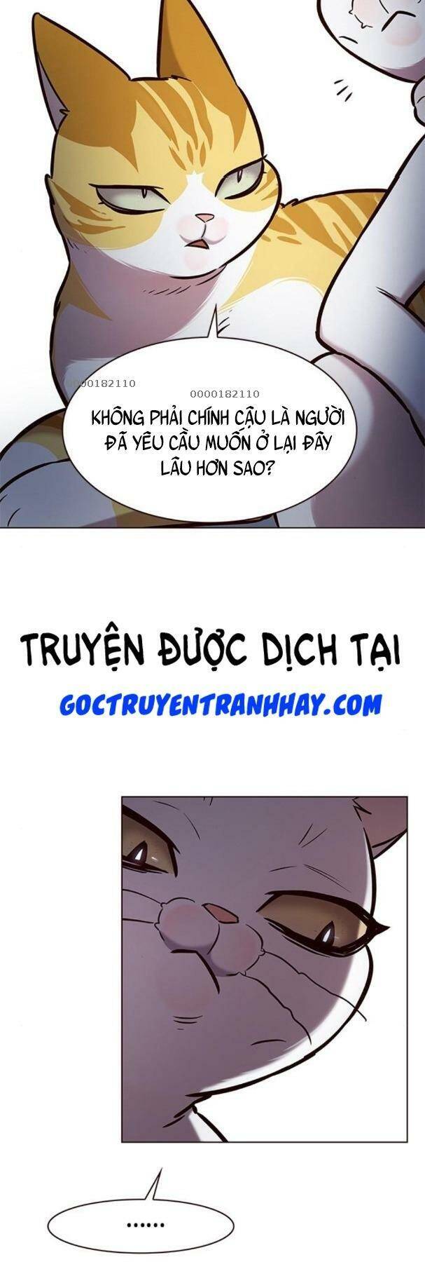 Hoá Thân Thành Mèo Chapter 190 - Trang 2