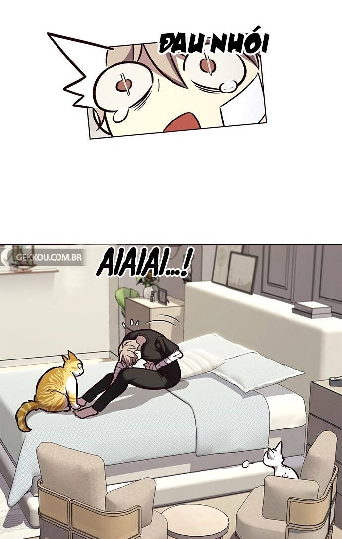 Hoá Thân Thành Mèo Chapter 199 - Trang 2