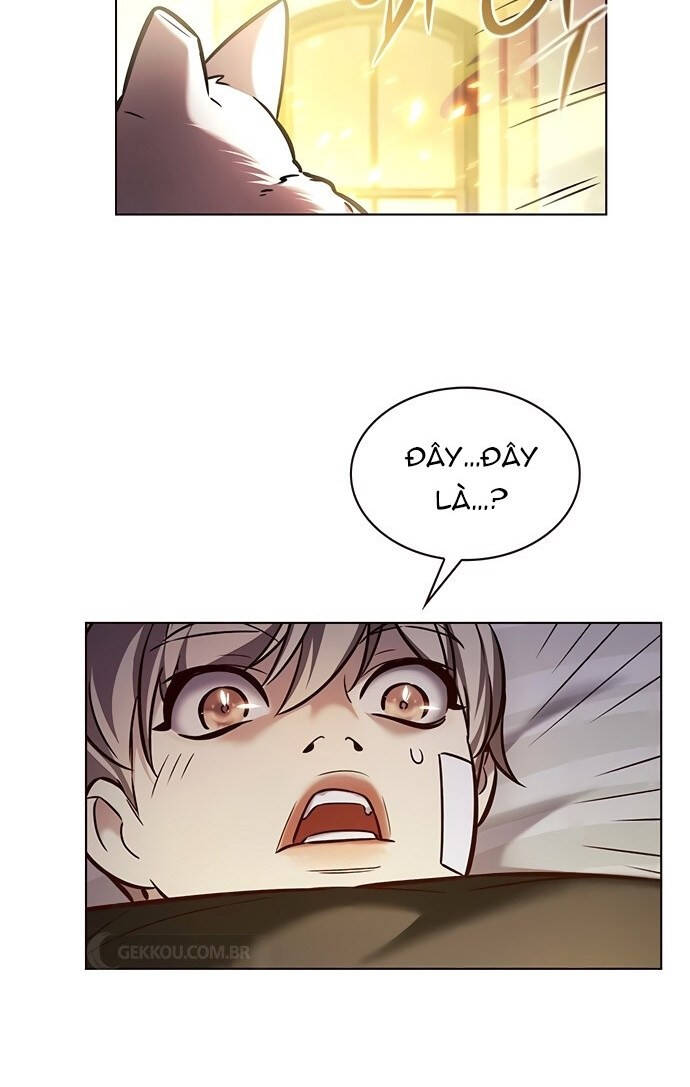 Hoá Thân Thành Mèo Chapter 199 - Trang 2