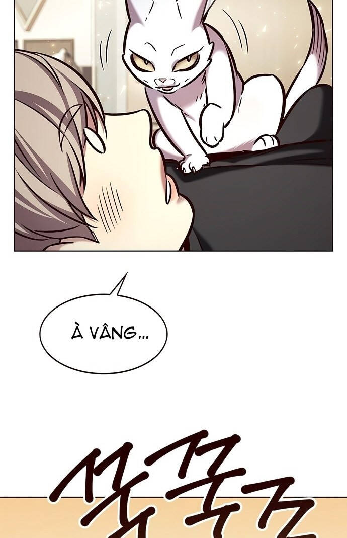 Hoá Thân Thành Mèo Chapter 199 - Trang 2