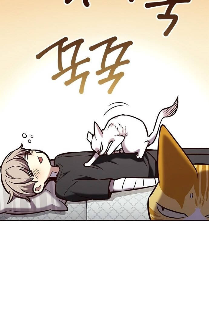 Hoá Thân Thành Mèo Chapter 199 - Trang 2