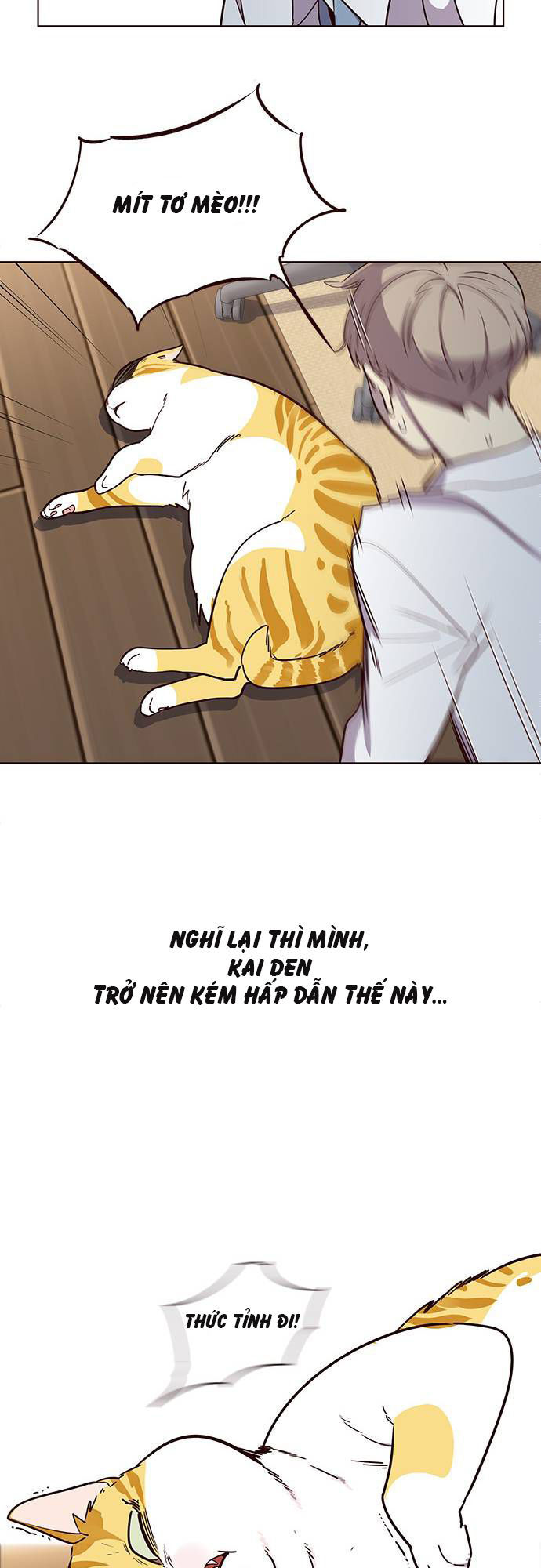 Hoá Thân Thành Mèo Chapter 2 - Trang 2