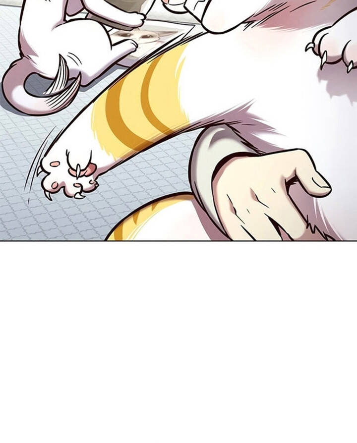 Hoá Thân Thành Mèo Chapter 200 - Trang 2