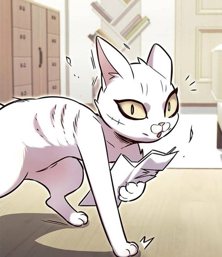 Hoá Thân Thành Mèo Chapter 200 - Trang 2