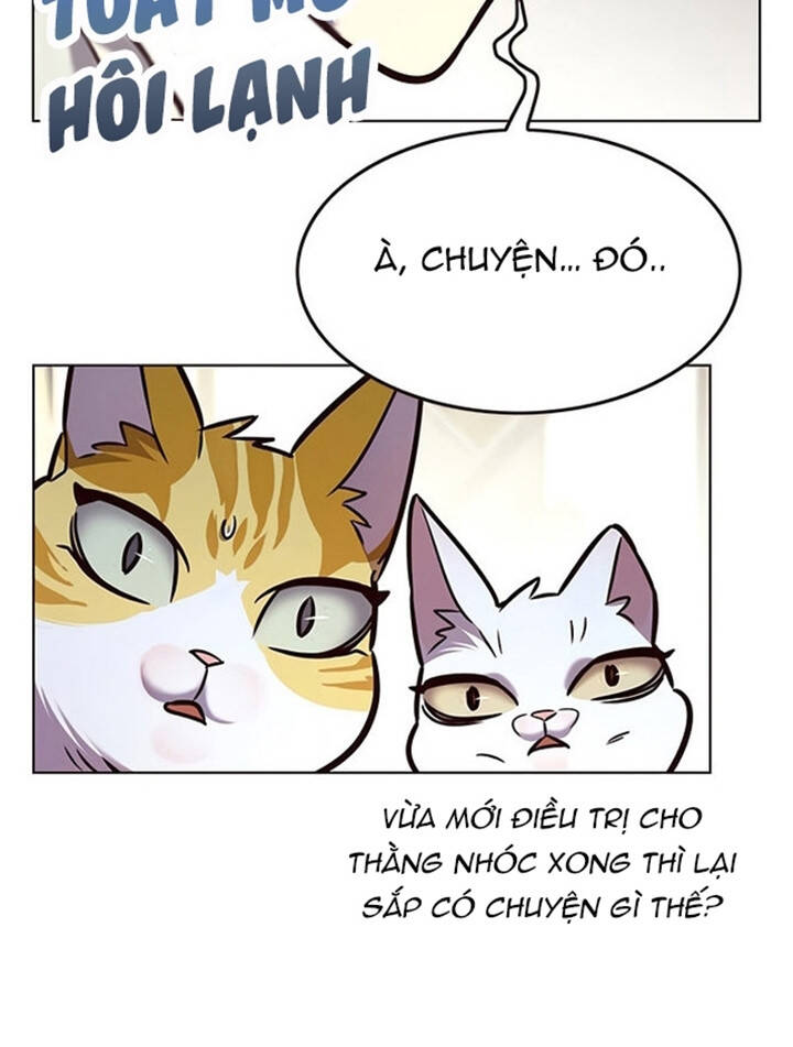 Hoá Thân Thành Mèo Chapter 200 - Trang 2