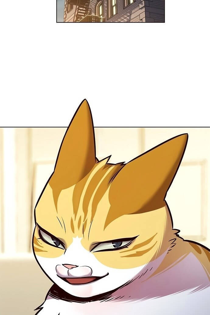 Hoá Thân Thành Mèo Chapter 201 - Trang 2