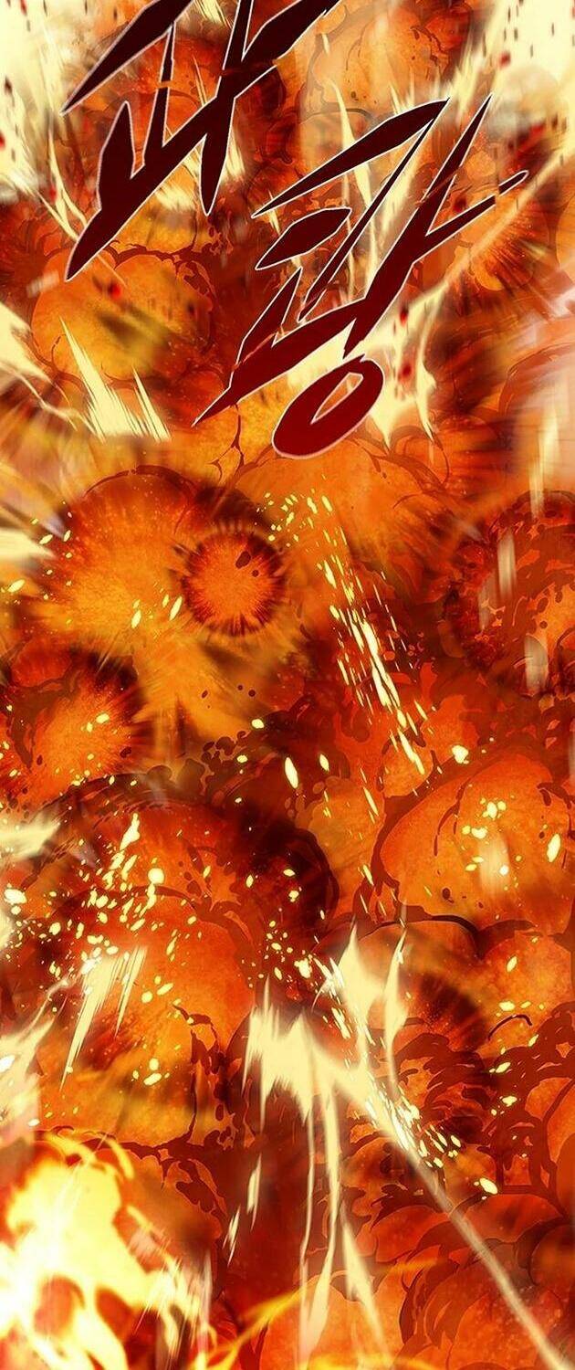 Hoá Thân Thành Mèo Chapter 204 - Trang 2