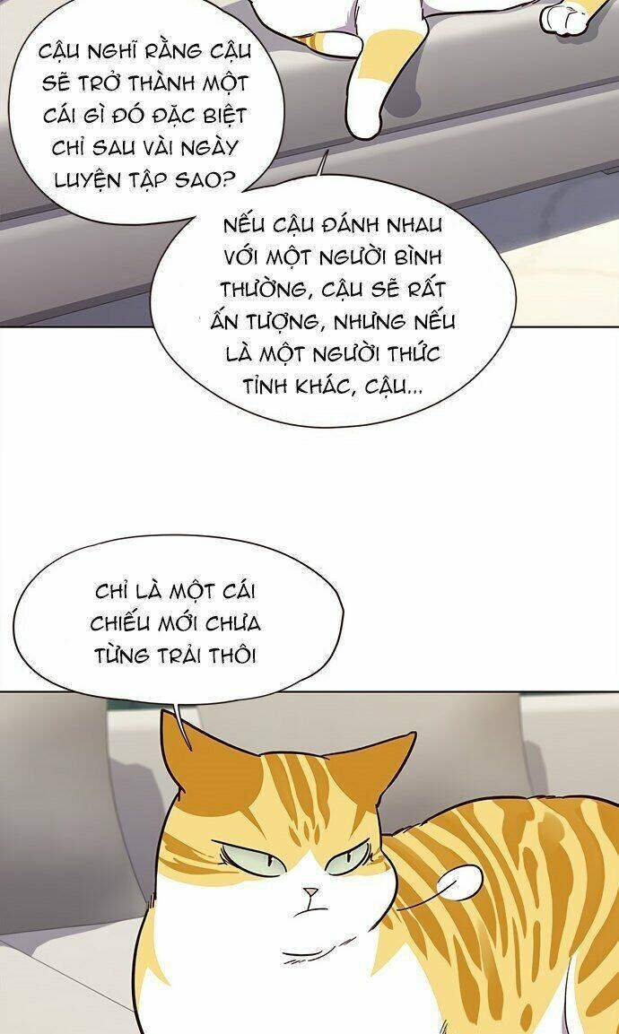 Hoá Thân Thành Mèo Chapter 21 - Trang 2