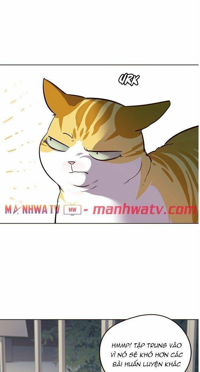 Hoá Thân Thành Mèo Chapter 21 - Trang 2