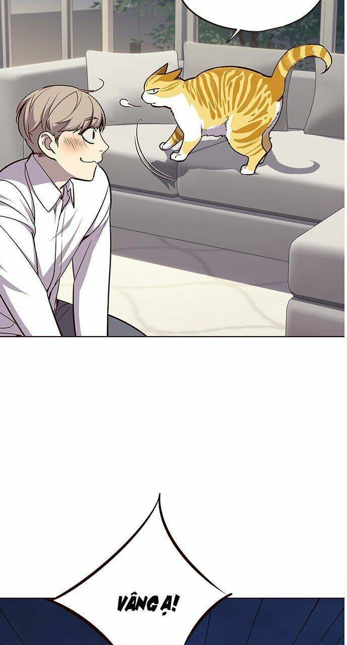 Hoá Thân Thành Mèo Chapter 21 - Trang 2
