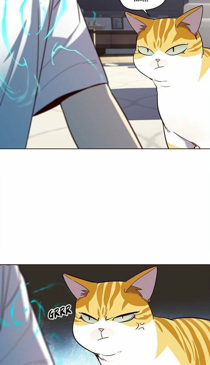Hoá Thân Thành Mèo Chapter 21 - Trang 2
