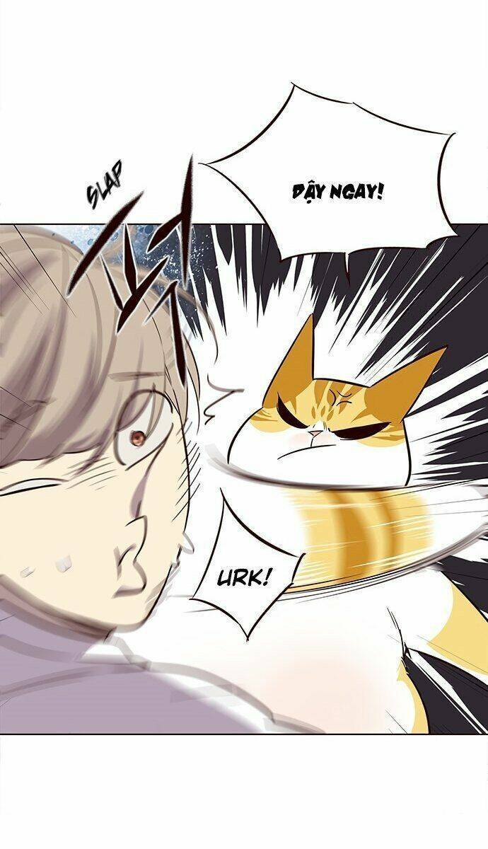 Hoá Thân Thành Mèo Chapter 21 - Trang 2