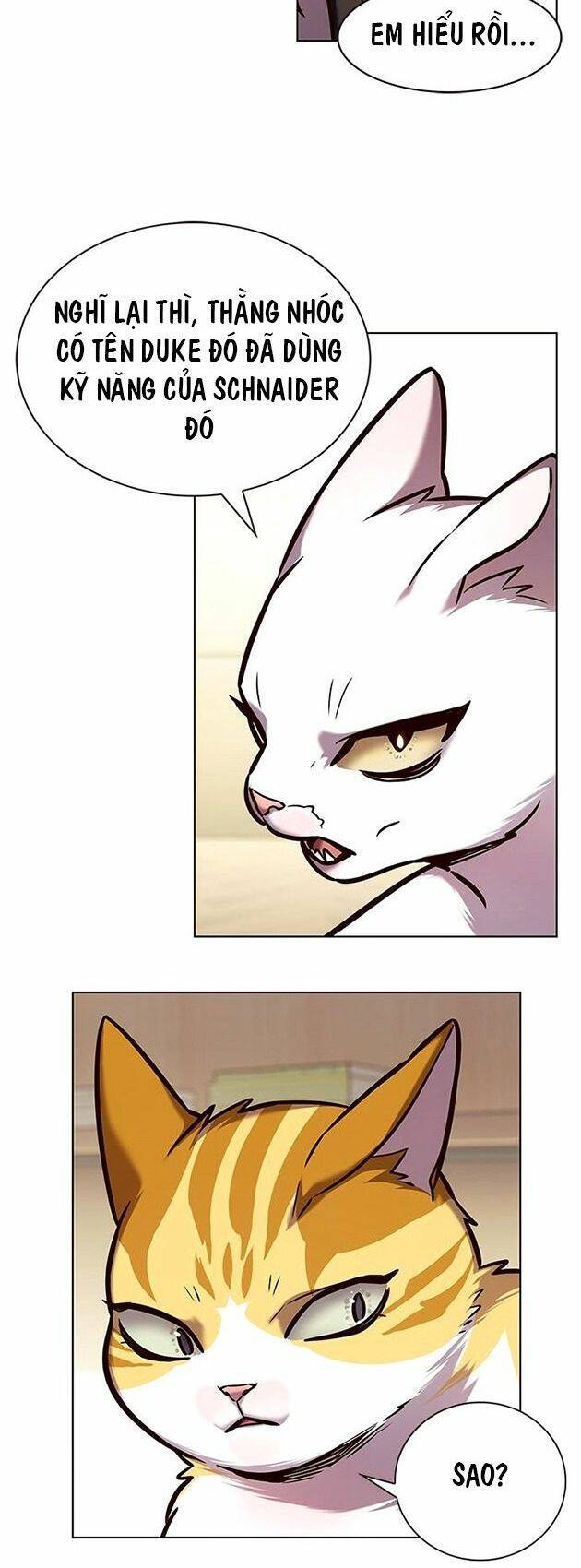 Hoá Thân Thành Mèo Chapter 218 - Trang 2
