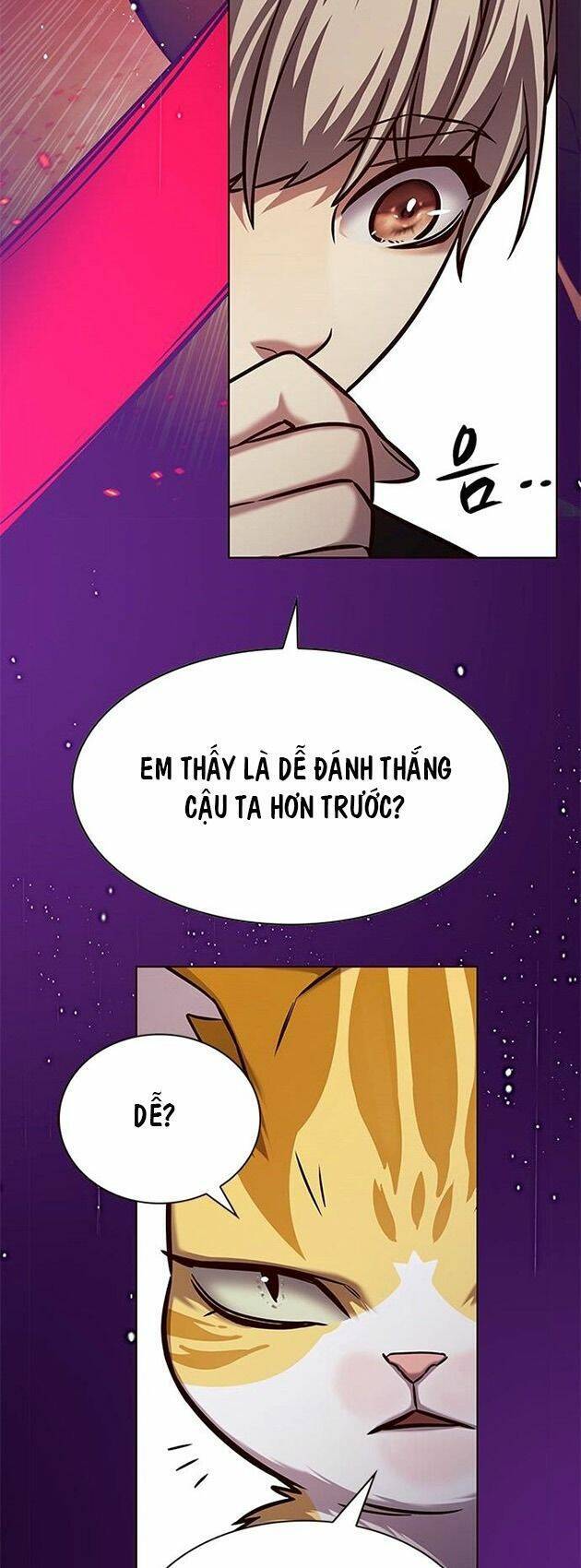 Hoá Thân Thành Mèo Chapter 218 - Trang 2