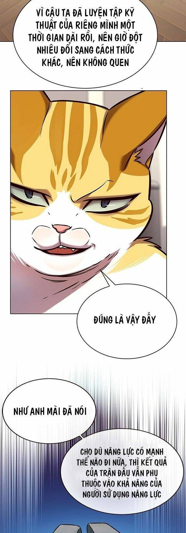 Hoá Thân Thành Mèo Chapter 218 - Trang 2