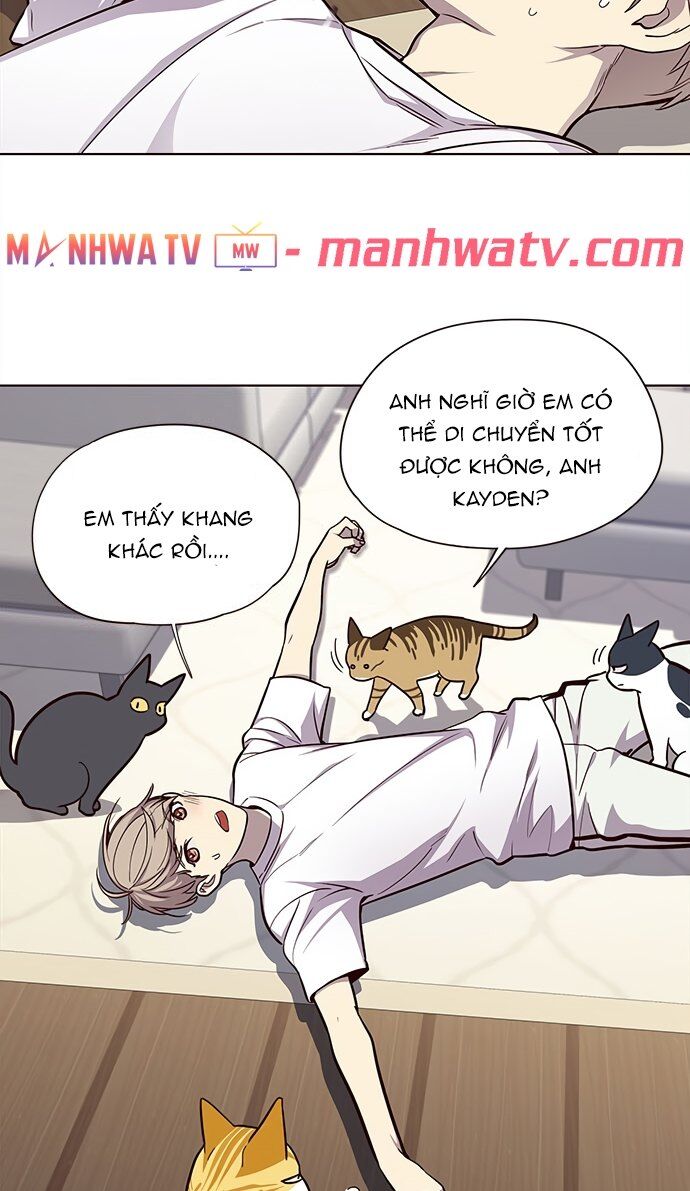 Hoá Thân Thành Mèo Chapter 22 - Trang 2