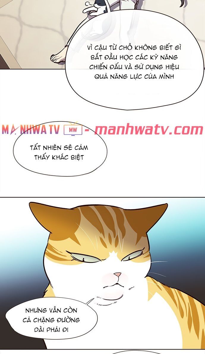 Hoá Thân Thành Mèo Chapter 22 - Trang 2