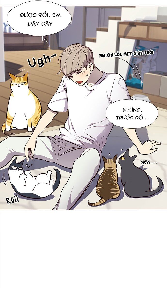 Hoá Thân Thành Mèo Chapter 22 - Trang 2