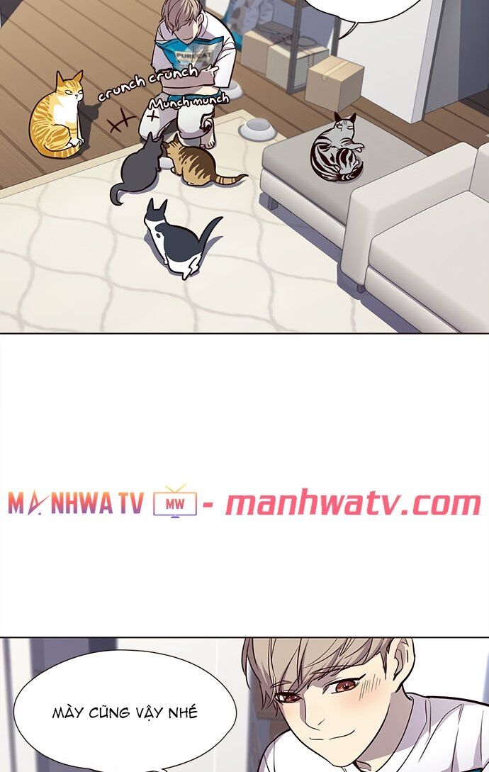 Hoá Thân Thành Mèo Chapter 22 - Trang 2