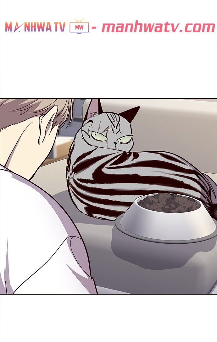 Hoá Thân Thành Mèo Chapter 22 - Trang 2