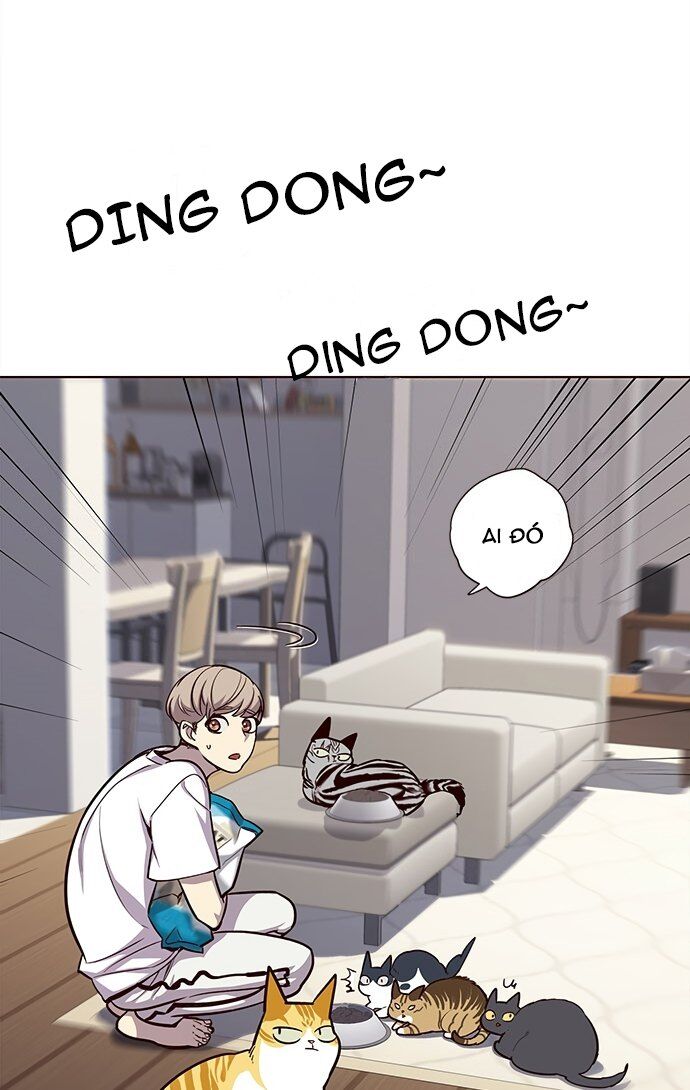 Hoá Thân Thành Mèo Chapter 22 - Trang 2