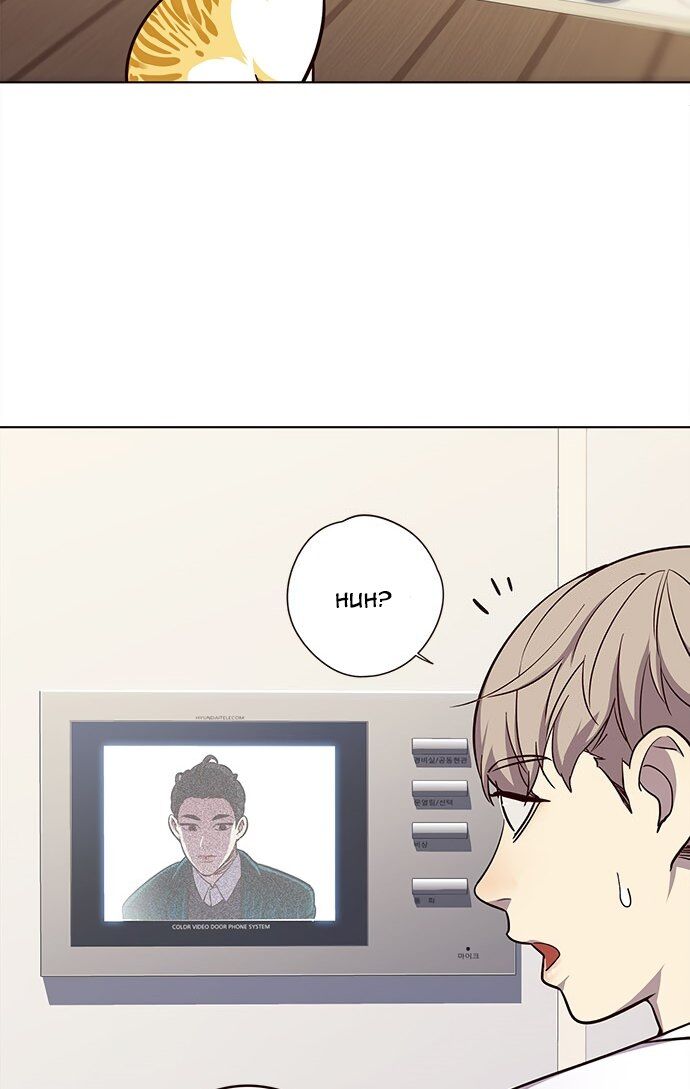 Hoá Thân Thành Mèo Chapter 22 - Trang 2