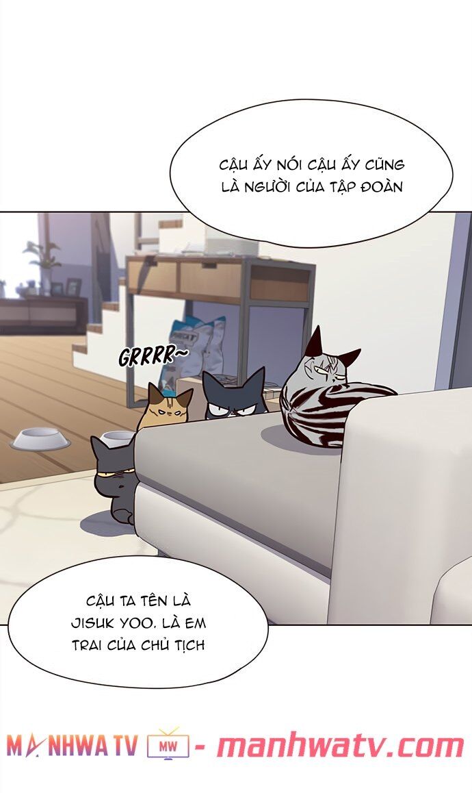 Hoá Thân Thành Mèo Chapter 22 - Trang 2