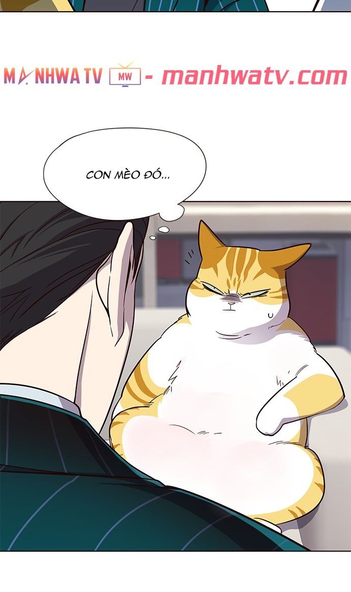 Hoá Thân Thành Mèo Chapter 22 - Trang 2