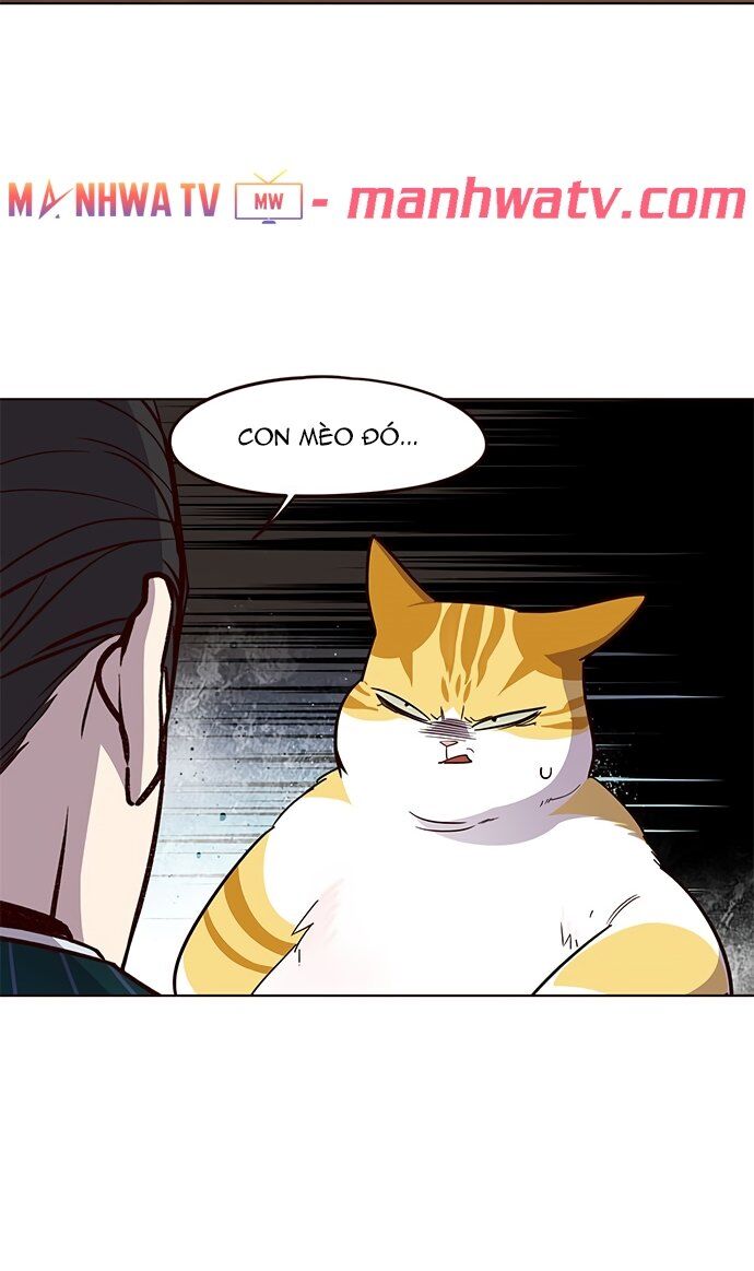 Hoá Thân Thành Mèo Chapter 22 - Trang 2