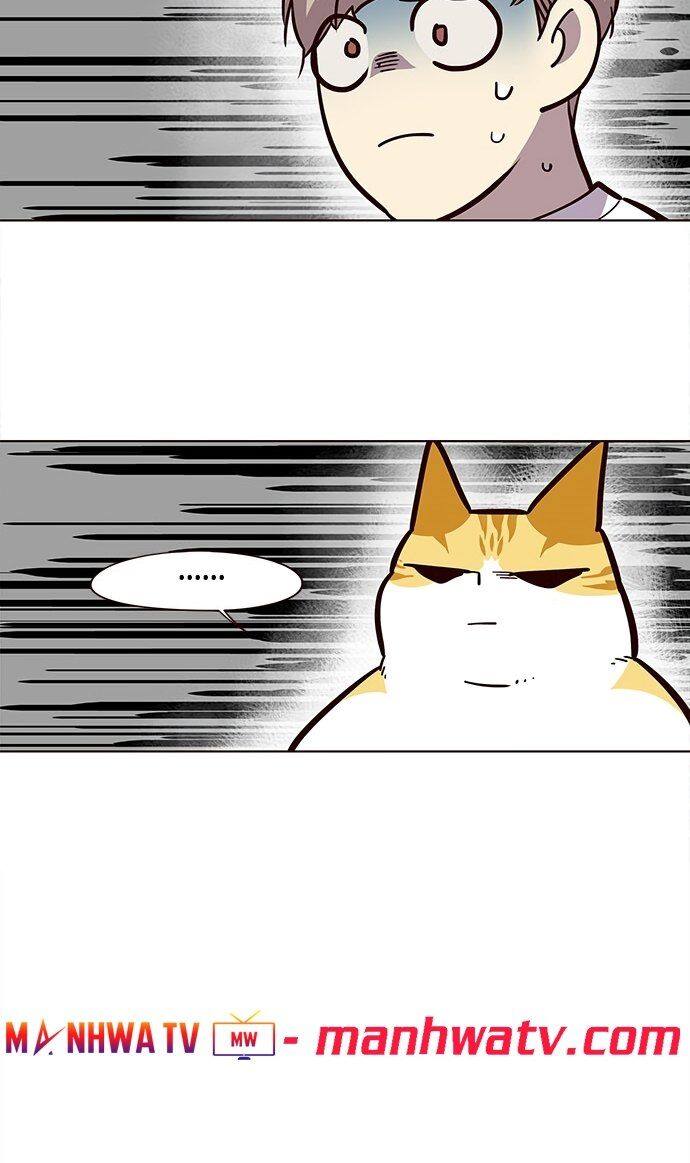 Hoá Thân Thành Mèo Chapter 22 - Trang 2