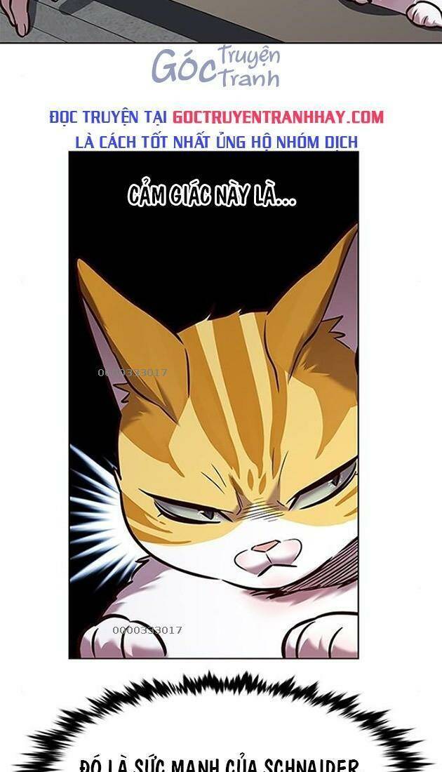 Hoá Thân Thành Mèo Chapter 220 - Trang 2