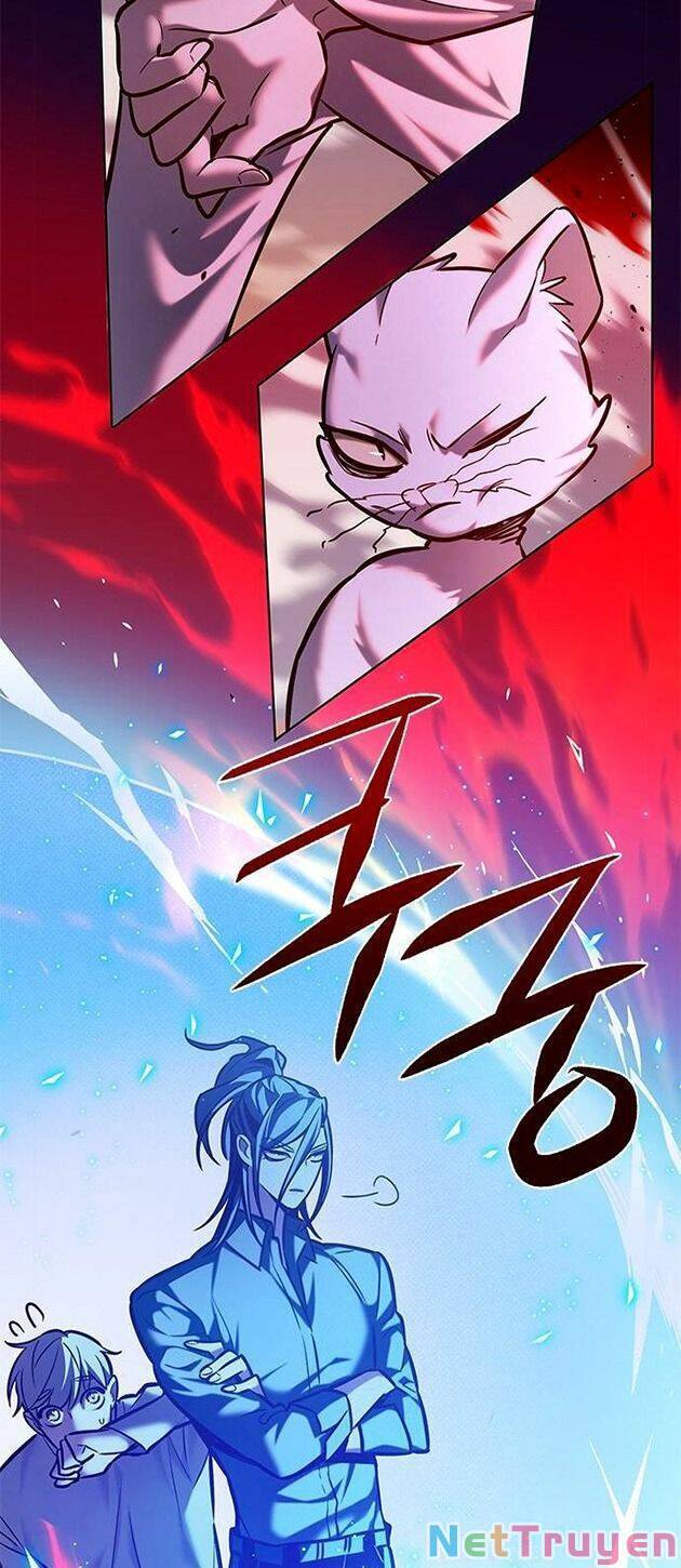 Hoá Thân Thành Mèo Chapter 221 - Trang 2