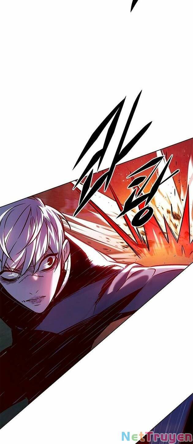 Hoá Thân Thành Mèo Chapter 221 - Trang 2