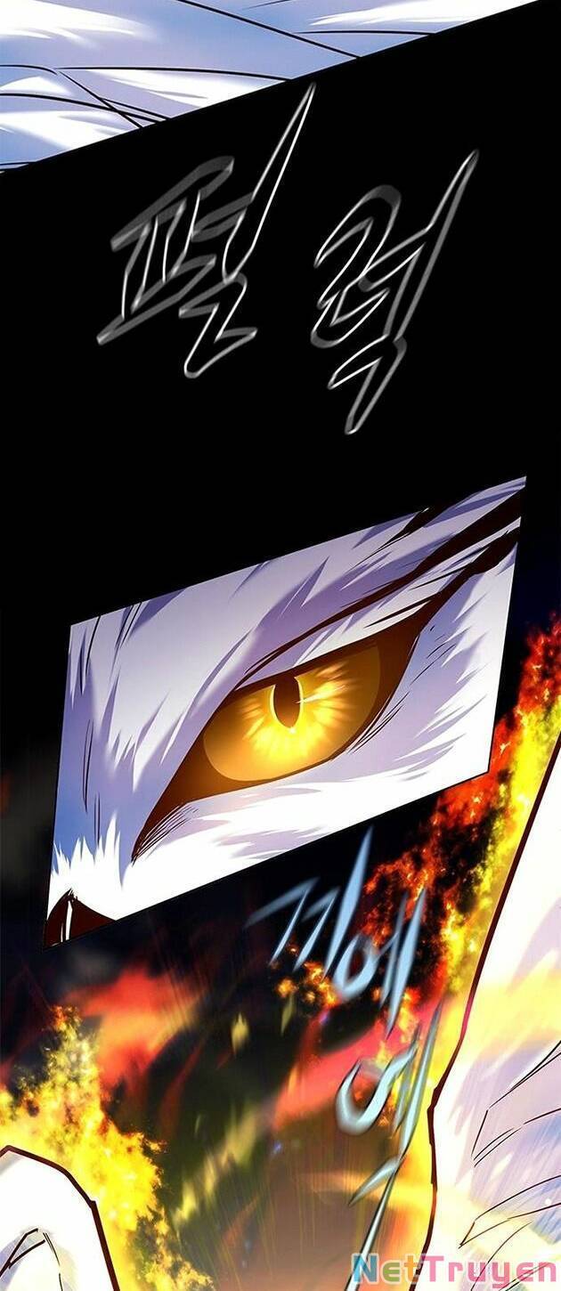 Hoá Thân Thành Mèo Chapter 221 - Trang 2