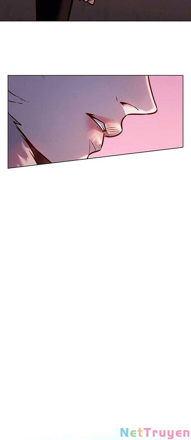 Hoá Thân Thành Mèo Chapter 222 - Trang 2