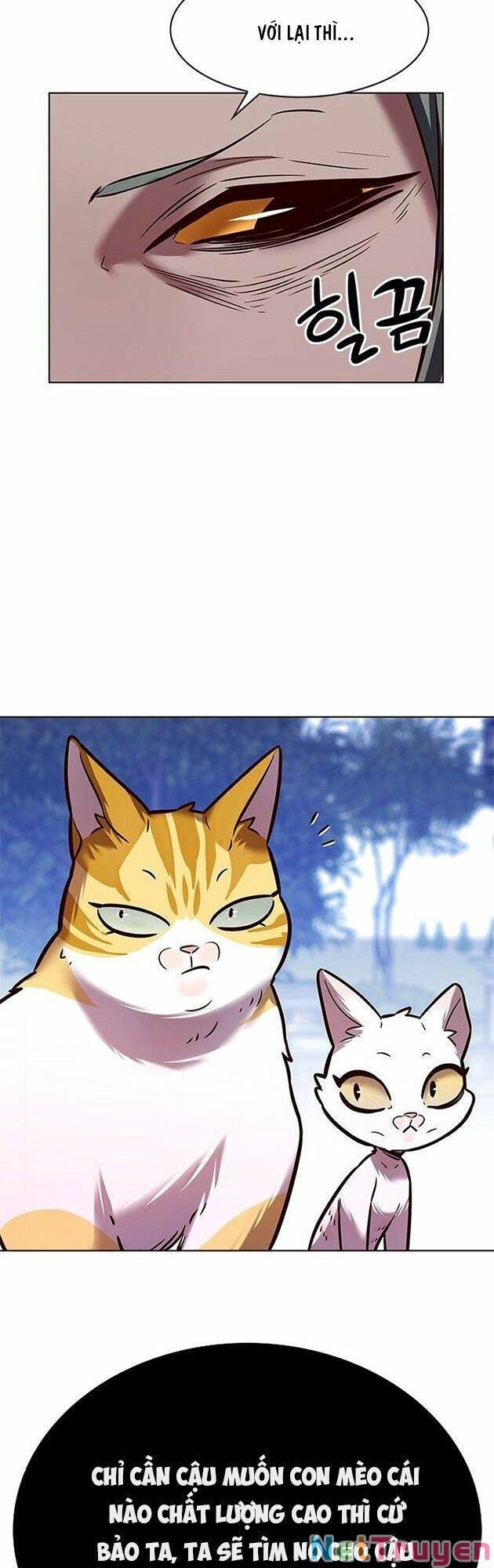 Hoá Thân Thành Mèo Chapter 222 - Trang 2
