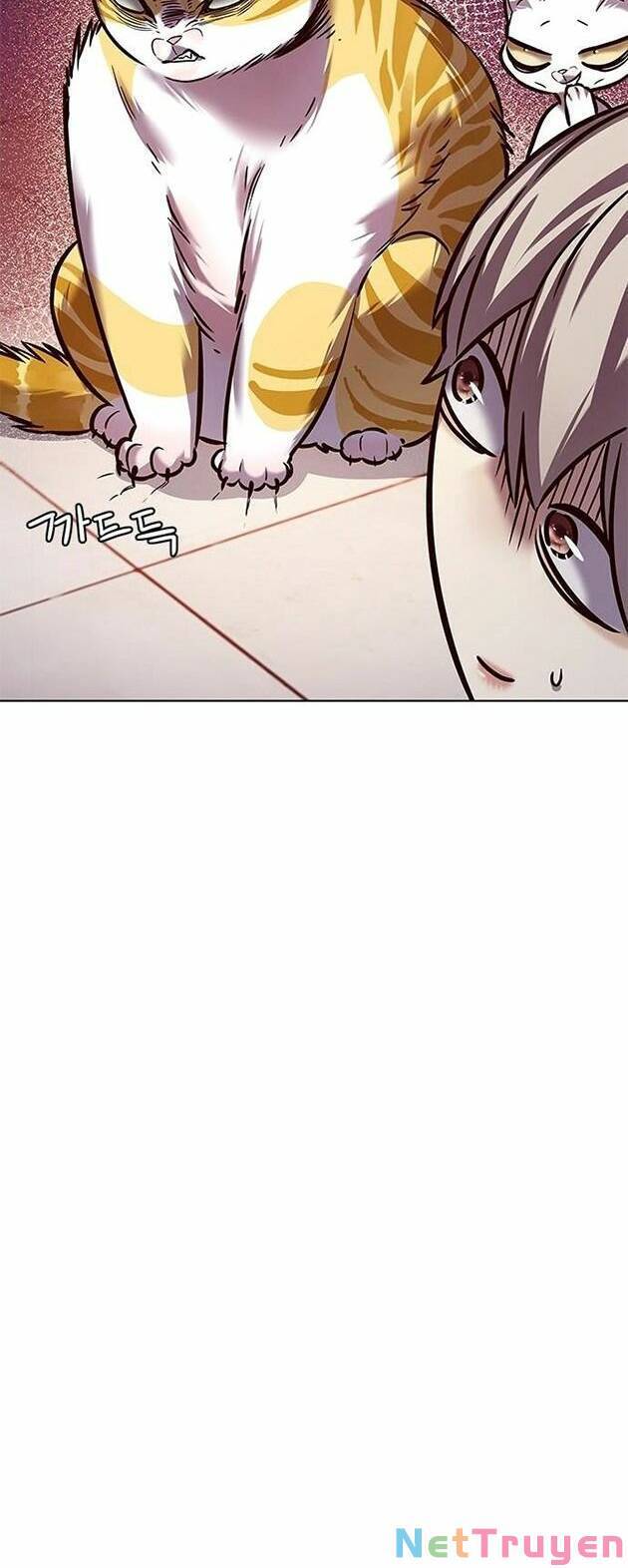 Hoá Thân Thành Mèo Chapter 222 - Trang 2