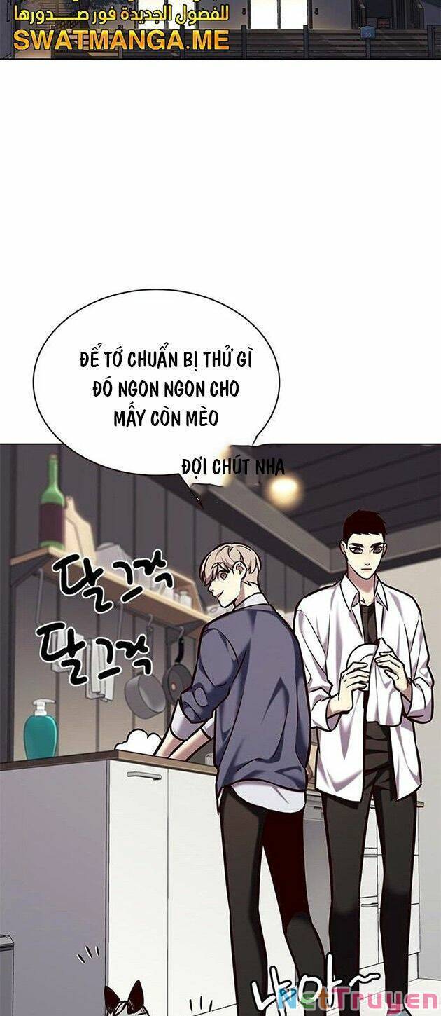 Hoá Thân Thành Mèo Chapter 223 - Trang 2