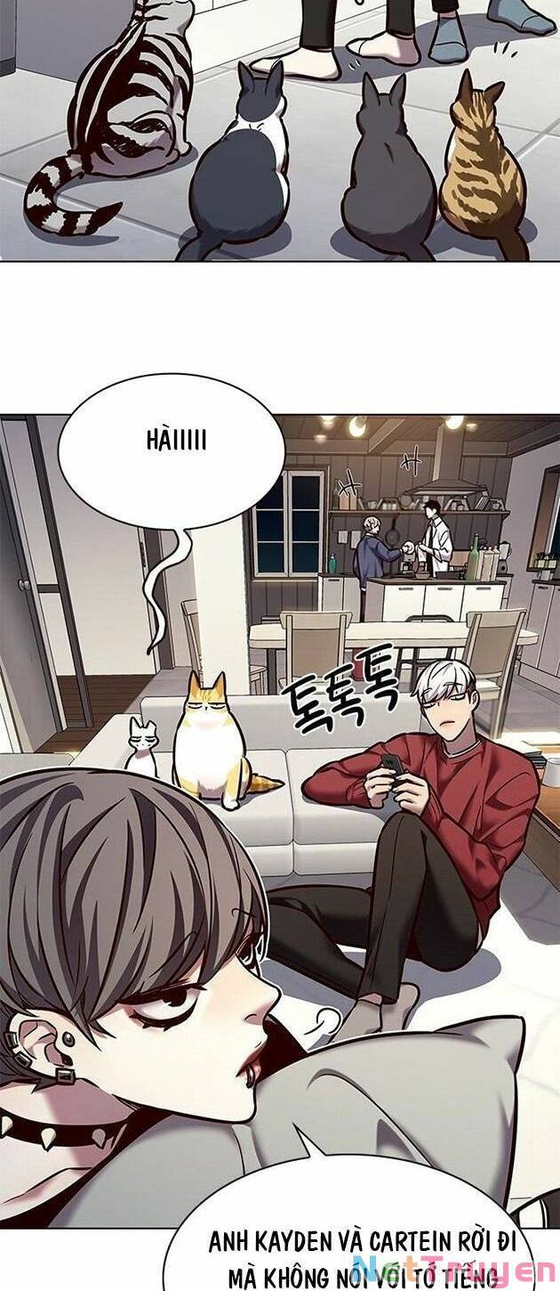 Hoá Thân Thành Mèo Chapter 223 - Trang 2