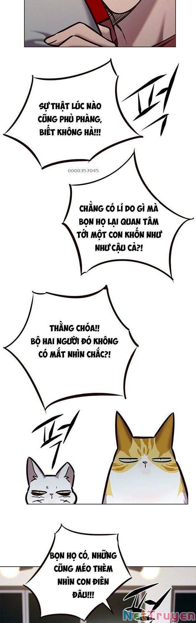 Hoá Thân Thành Mèo Chapter 223 - Trang 2