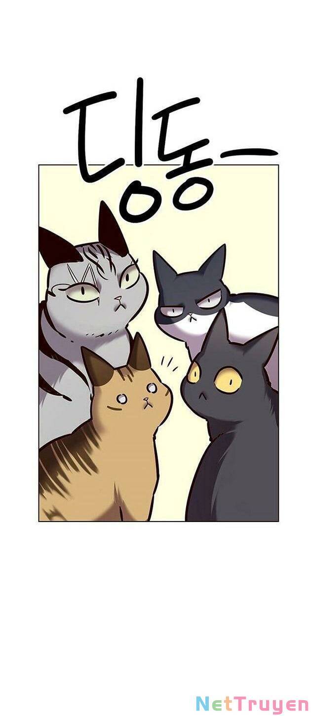 Hoá Thân Thành Mèo Chapter 223 - Trang 2