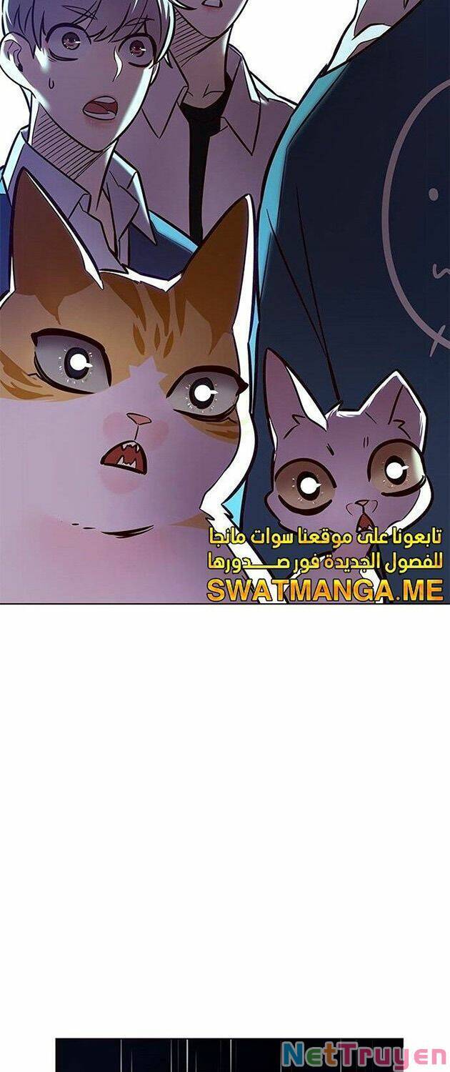 Hoá Thân Thành Mèo Chapter 223 - Trang 2