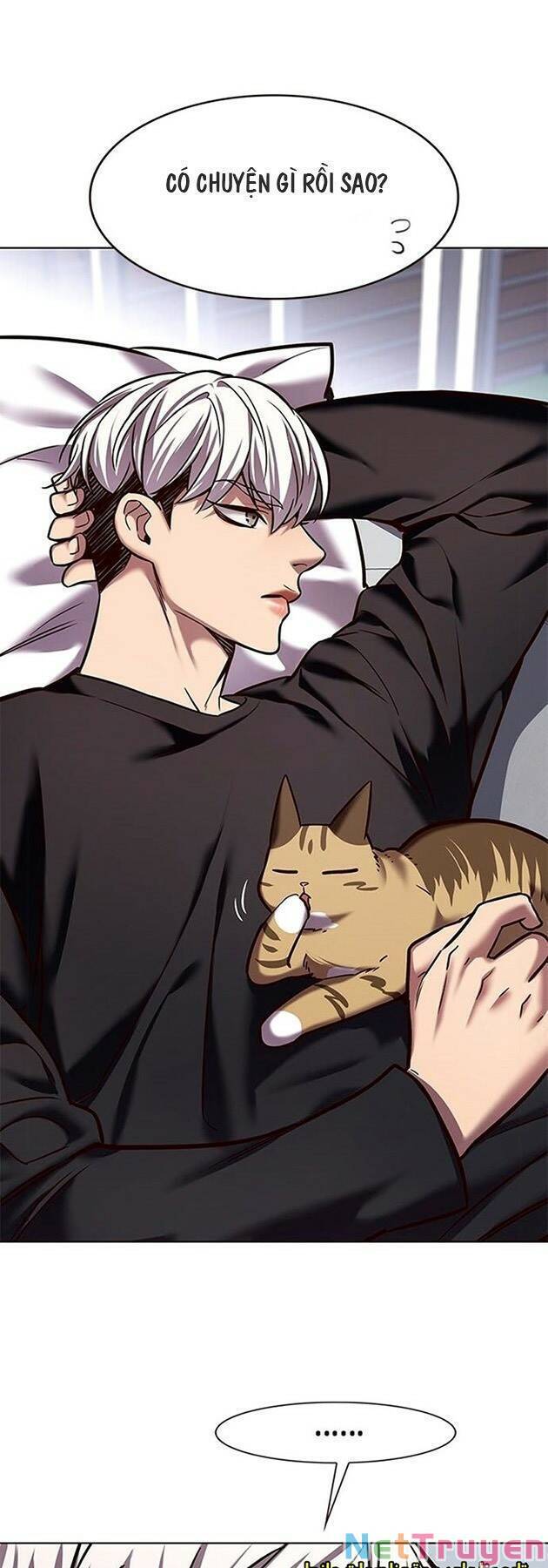 Hoá Thân Thành Mèo Chapter 224 - Trang 2