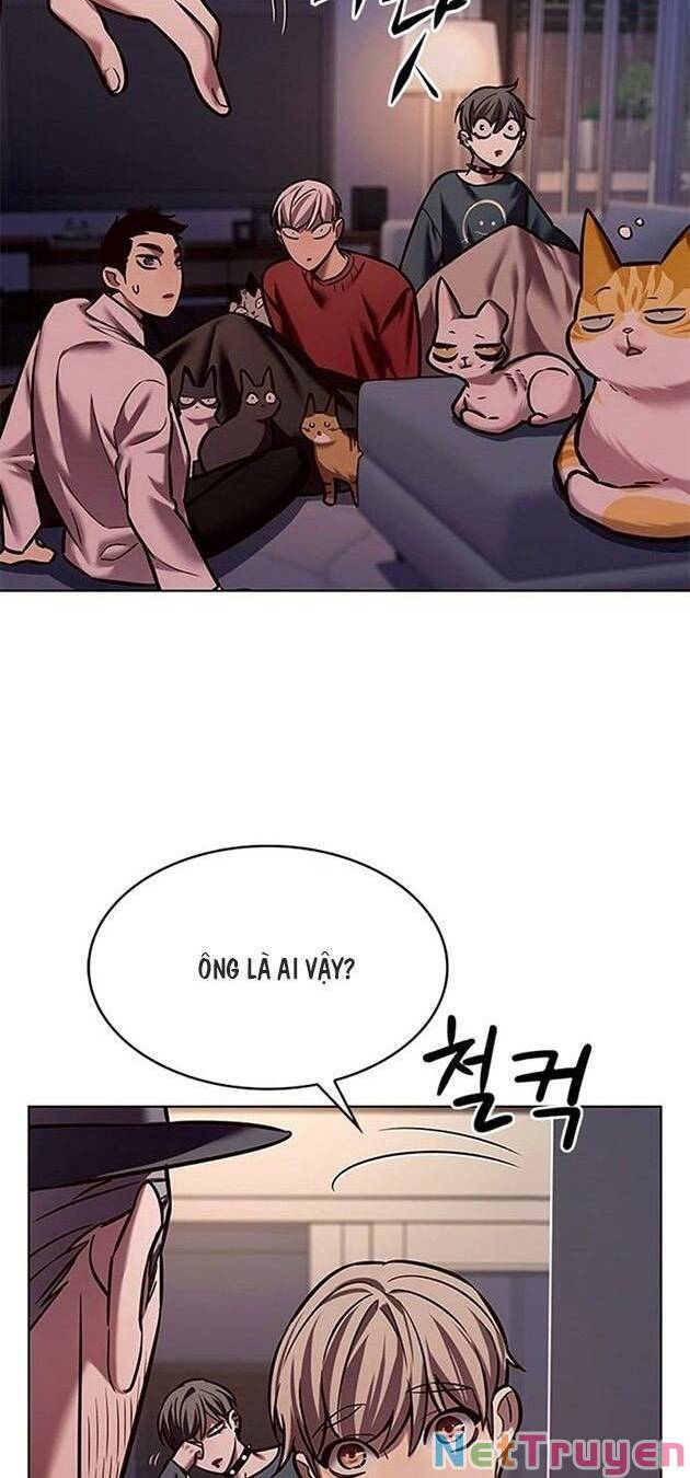 Hoá Thân Thành Mèo Chapter 224 - Trang 2