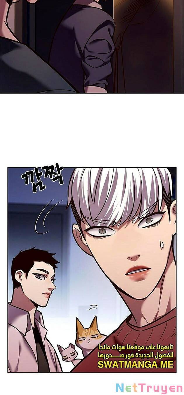 Hoá Thân Thành Mèo Chapter 224 - Trang 2